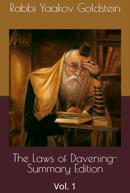 Chapter 12: Davening in a Shul with a Minyan – Shulchanaruchharav.com